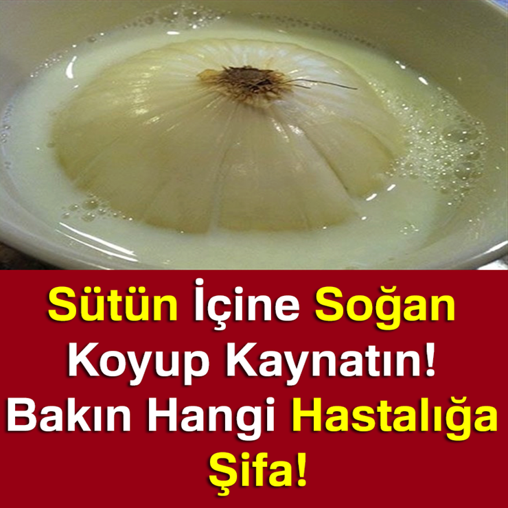 Sütün İçine Soğan Koyup Kaynatın! Bakın Hangi Hastalığa Şifa!