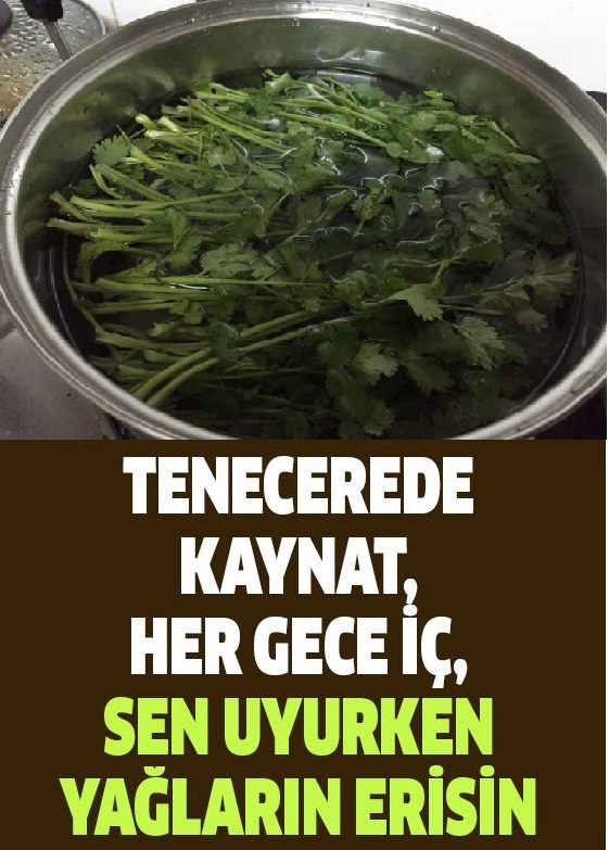 Tencerede Kaynat, Her Gece İç, Sen Yatarken Yağların Erisin