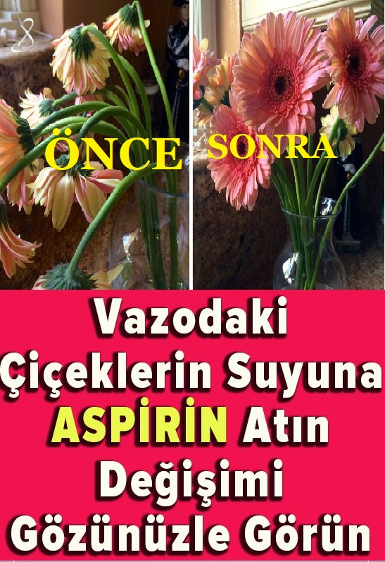Vazodaki Çiçeklerin Suyuna Aspirin Atın
