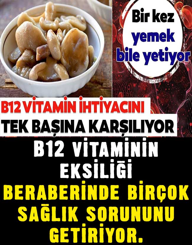 B12 İhtiyacını Tek Başına Karşılıyor