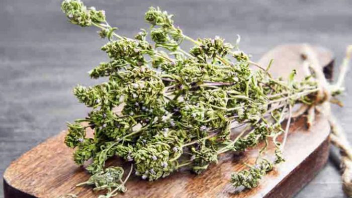 Diş eti çekilmesini engelleyen kürü keşfedin