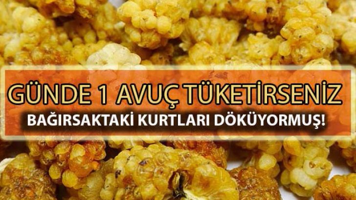 Günde Bir Avuç Tüketirseniz Bağırsaktaki Kurtları Döküyor