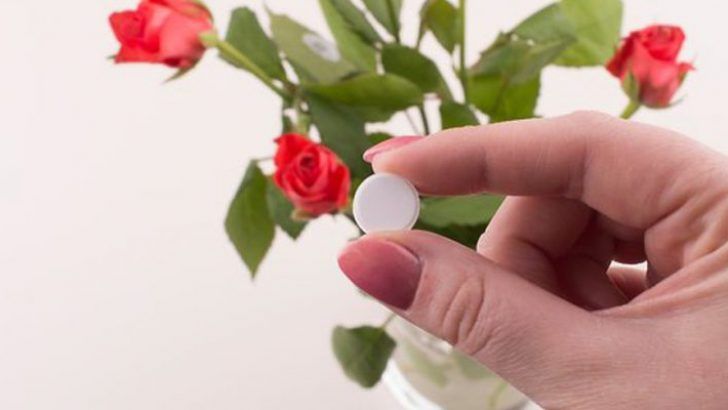 Çiçekleri Sularken, Suyun İçine 1 Aspirin Eritin Çiçeğiniz Gözle Görülür Değişiyor