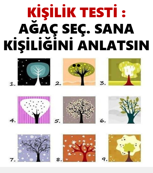 Bir ağaç seç ve kim olduğunu bul