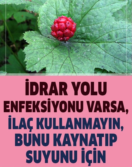 İdrar Yolu Enfeksiyonuna Konutta Natürel Çözüm, Kaynatıp Suyunu İçin