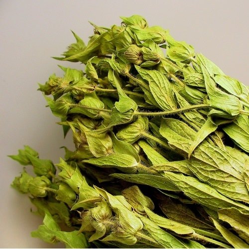 K Vitamini Kaynağı Adaçayı Faydaları