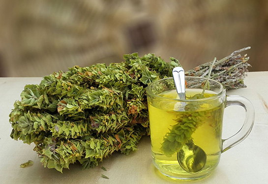 K Vitamini Kaynağı Adaçayı Faydaları