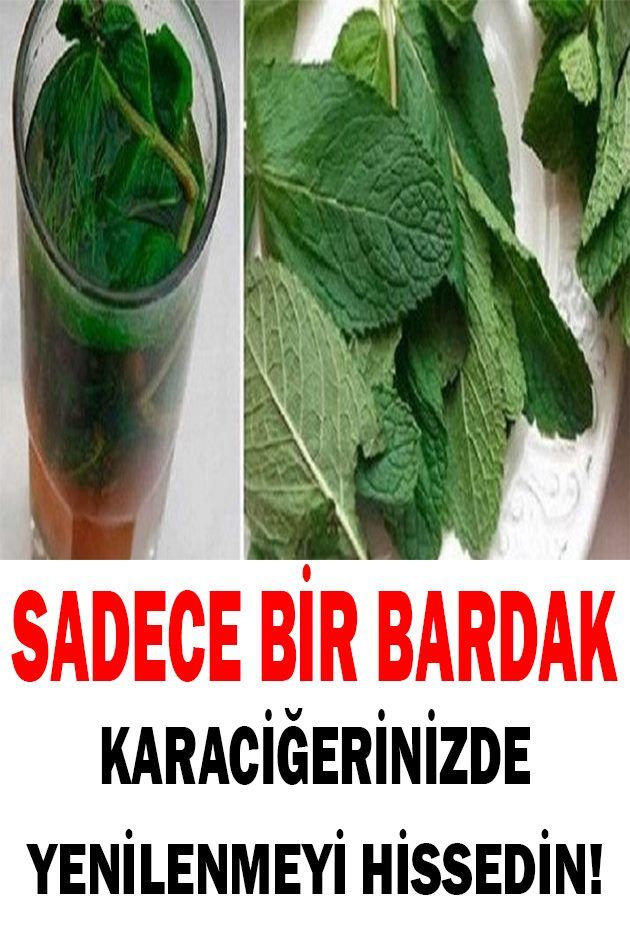 Karaciğer Yağlanması Belirtileri Ve Kür Tarifi