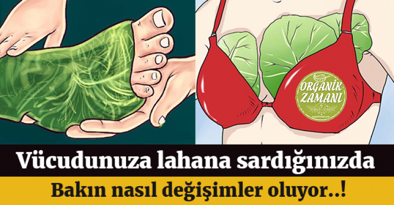 Lahana Yapraklarını Vücudunuza Sarmalısınız