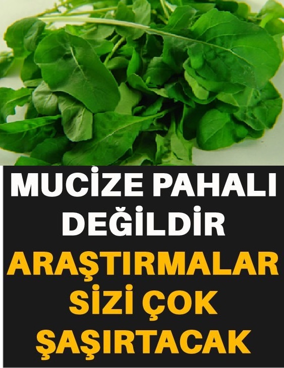 Bu Aylarda Roka Ve Tere Tüketin Çünkü...