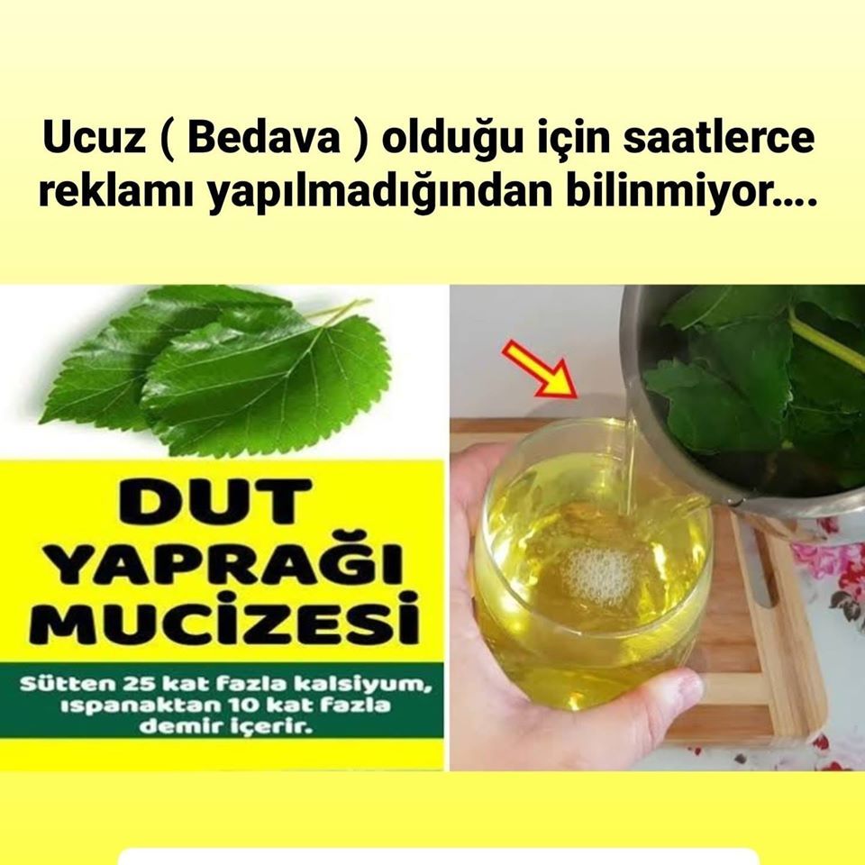 Burnumuzun dibindeki mucize Dut yaprağının faydaları