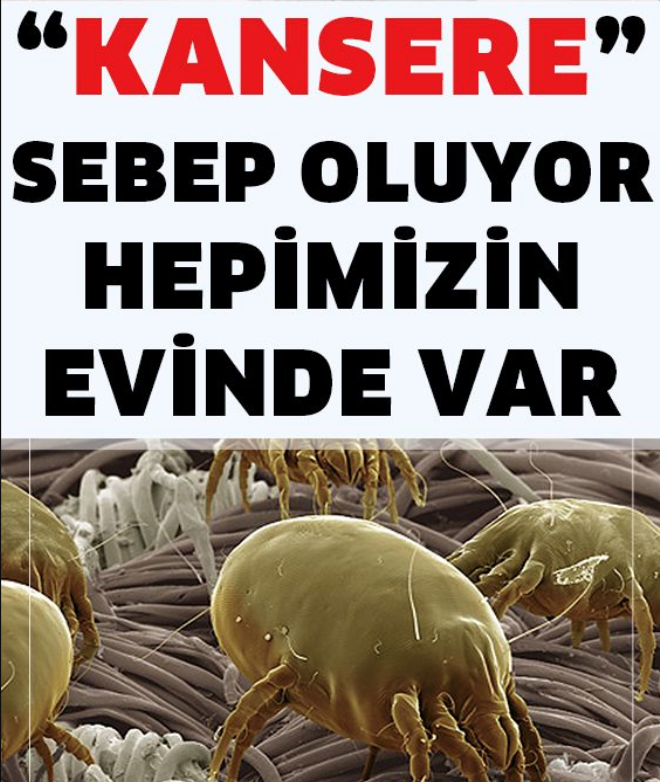 Sürekli kullanıyoruz ama meğerse kanser yapıyormuş