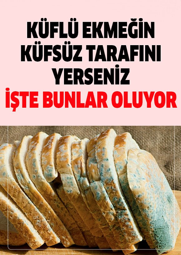 Küflü Ekmeğin Küfsüz Kısmını Yediğinizde Vücudunuzda Bunlar Gerçekleşiyor
