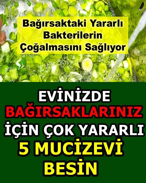 Bu Karışım Bağırsaktaki Yararlı Bakterilerin Çoğalmasını Sağlıyor