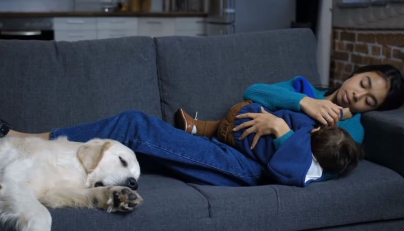 Pitbull Bebeğe Öyle Bir Şey Yaptı ki Sebebini Anlayınca Annesi Şok Oldu