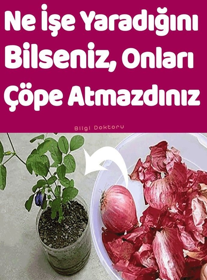 Soğan Kabuklarının Ne İşe Yaradığını Bilseniz Onları Çöpe Atmazdınız..
