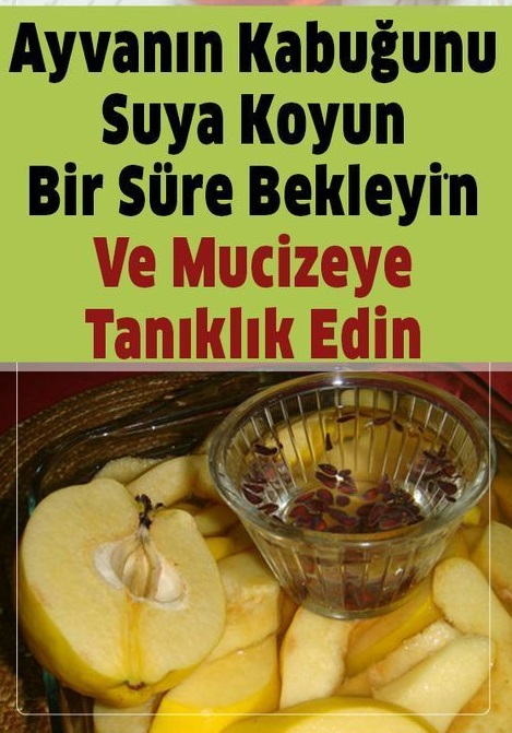 Ayva’nın Kabuğu da Şifa! Suya Koyup Beklerseniz..Bakın Ne Oluyor