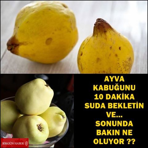 Ayva’nın Kabuğu da Şifa! Suya Koyup Beklerseniz..Bakın Ne Oluyor