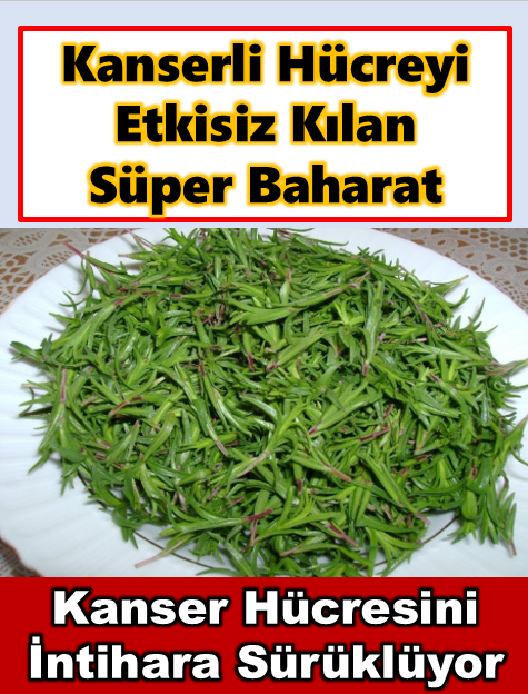 Kanserli Hücreyi Etkisiz Kılan Süper Baharat