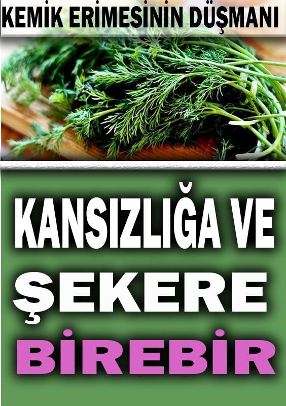 Dereotunun Bu Faydaları Bilseniz Evinizden Eksik Etmezdiniz