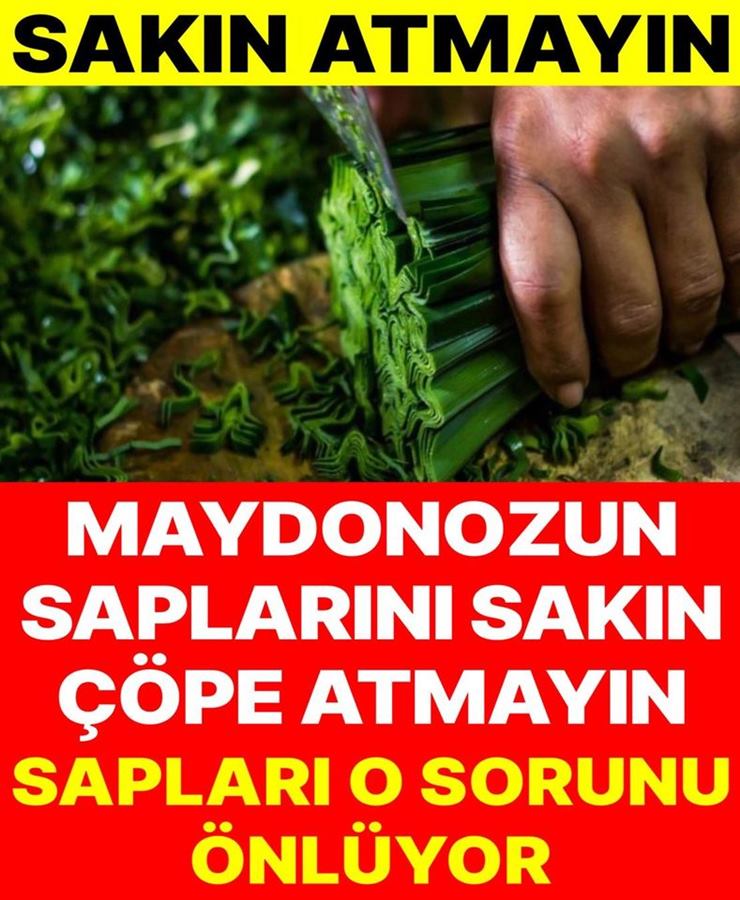 Maydanoz Sapını Sakın Çöpe Atmayın