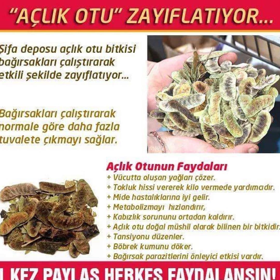 Şifa deposu açlık otu bağırsakları çalıştırarak zayıflatıyor