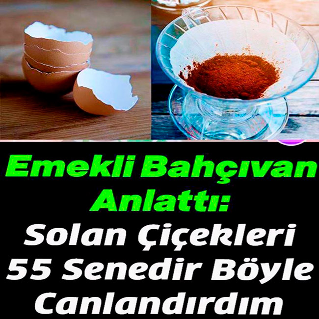 Bu Kadar Kolay Solan Çiçekleri Sadece 3 Malzemeyle Canlandıran Karışım