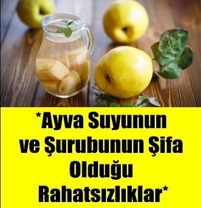 Ayva Suyunun ve Şurubunun Şifa Olduğu Rahatsızlıklar