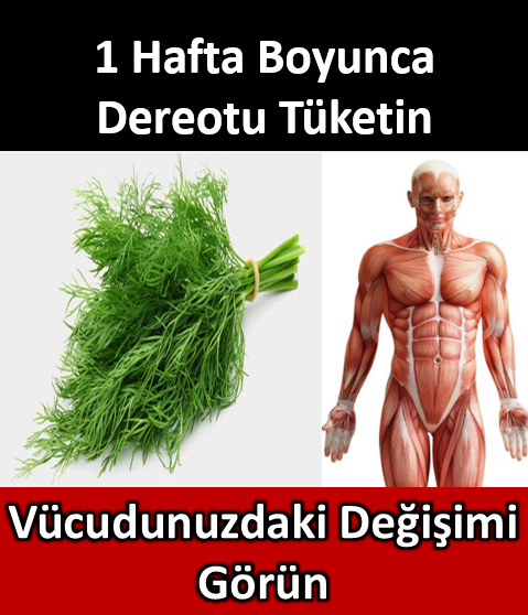 1 hafta boyunca dereotu tüketirseniz ne olur?