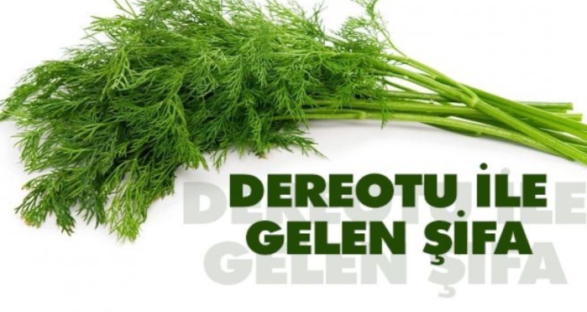 1 hafta boyunca dereotu tüketirseniz ne olur?