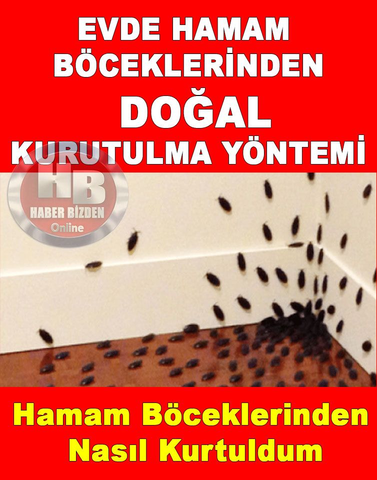 Hamam Böceklerinden Nasıl Kurtuldum