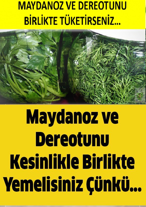 Maydanoz ve Dereotunu Netlikle Beraber Yemelisiniz Çünkü