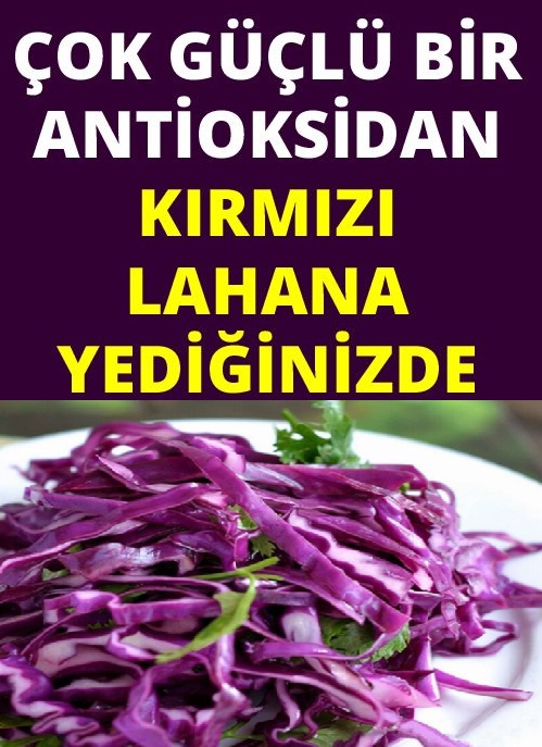 Kırmızı Lahananın Sağlığa Muhteşem Faydaları