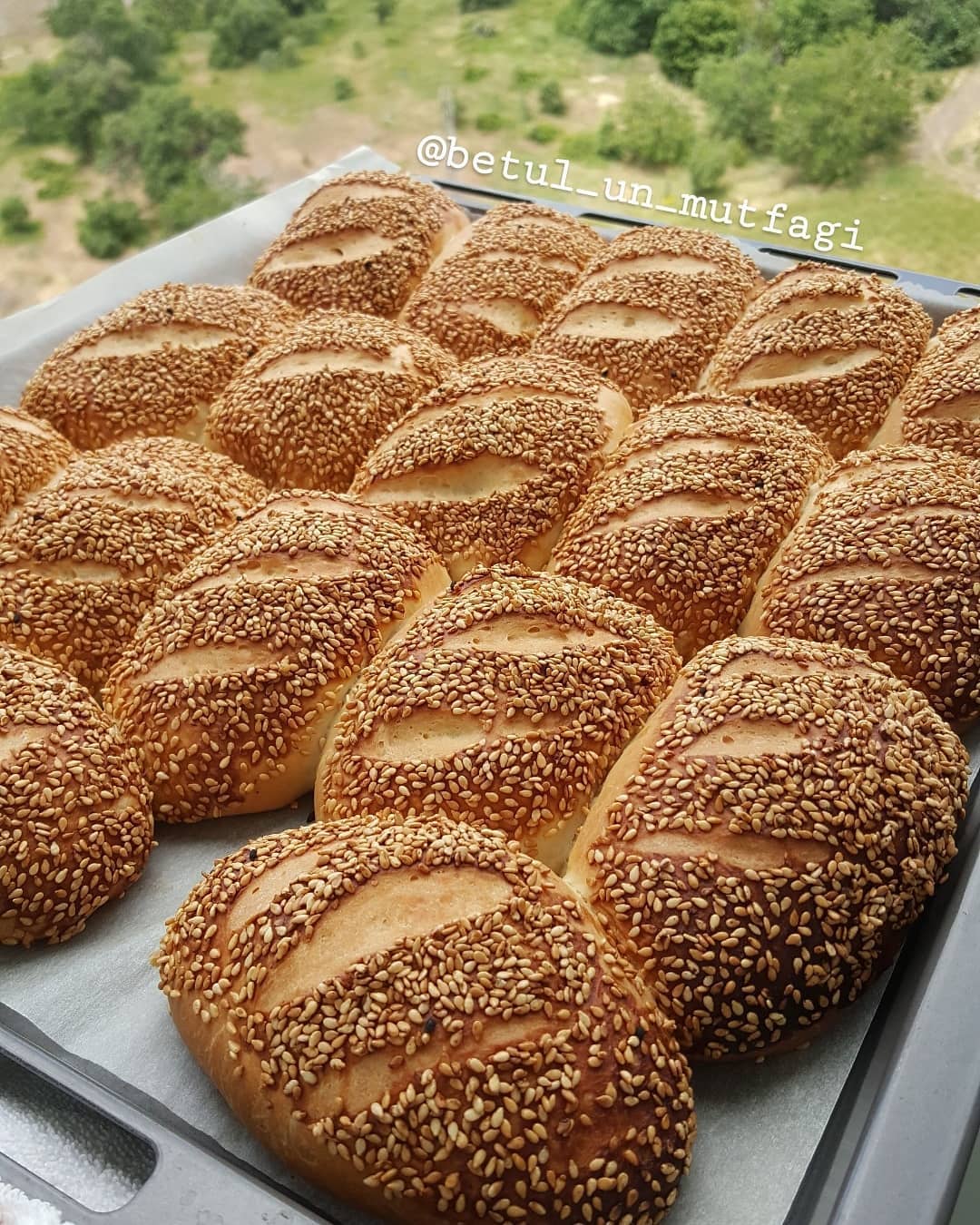 Simit Poğaça