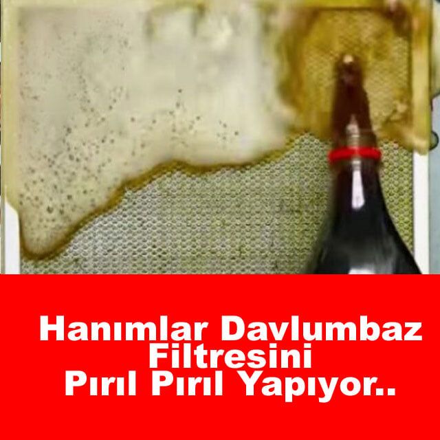 Davlumbaz Filtresini Pırıl Pırıl Yapıyor