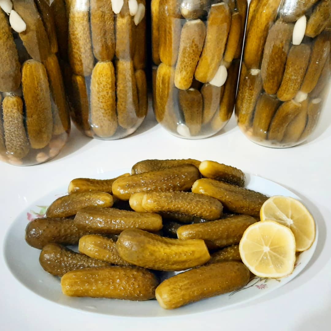 Kütür Kütür Kornişon Turşu Tarifi