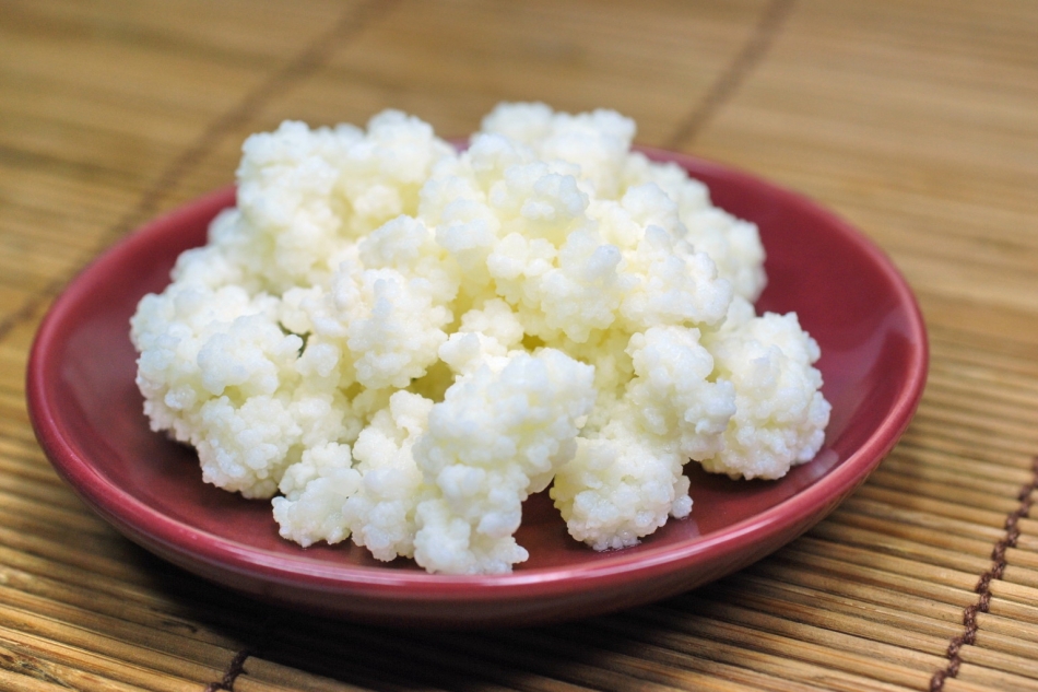 Kefir'in Faydaları ve Evde Kefir Nasıl Yapılır?