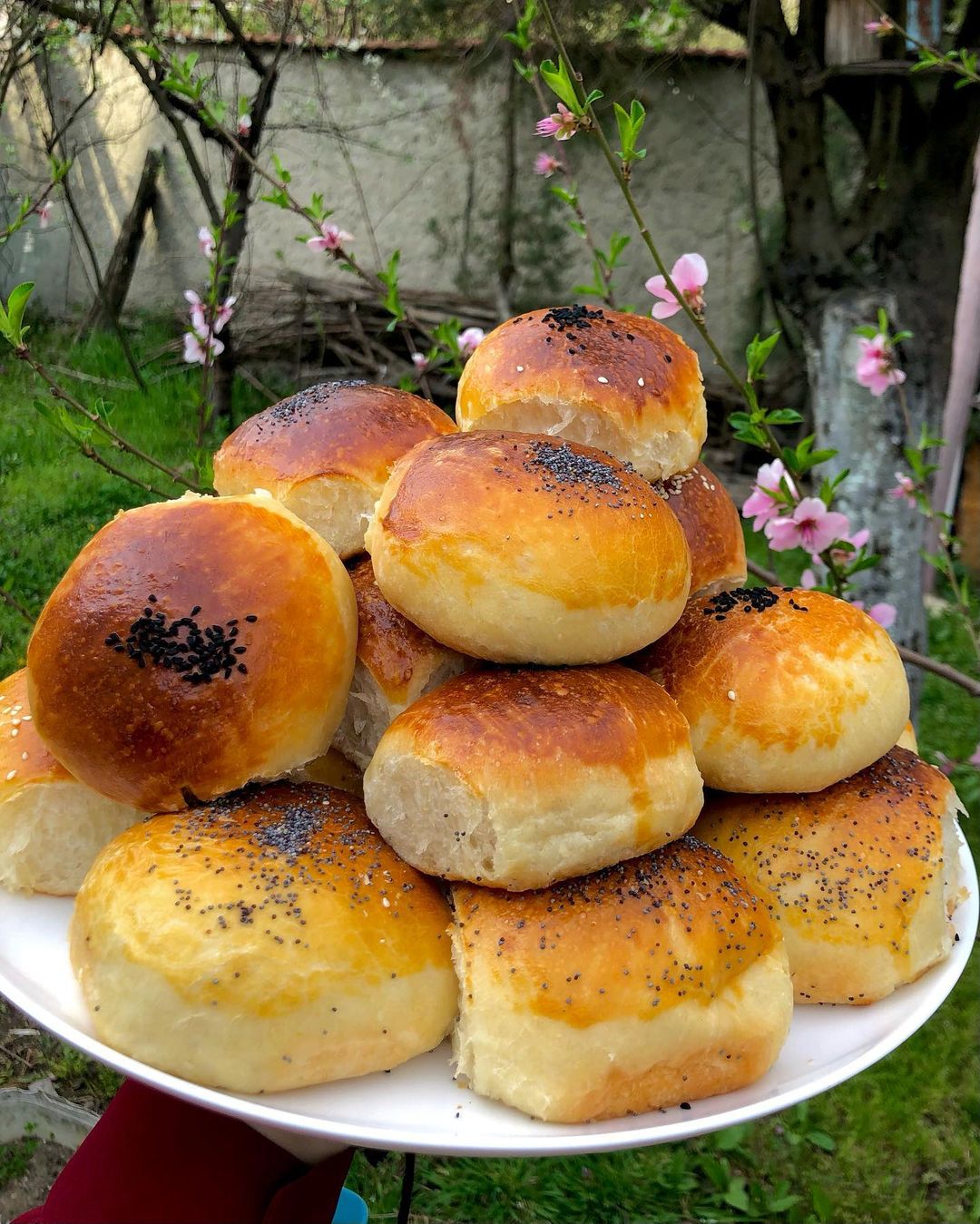 Muhteşem Pamuk Poğaça