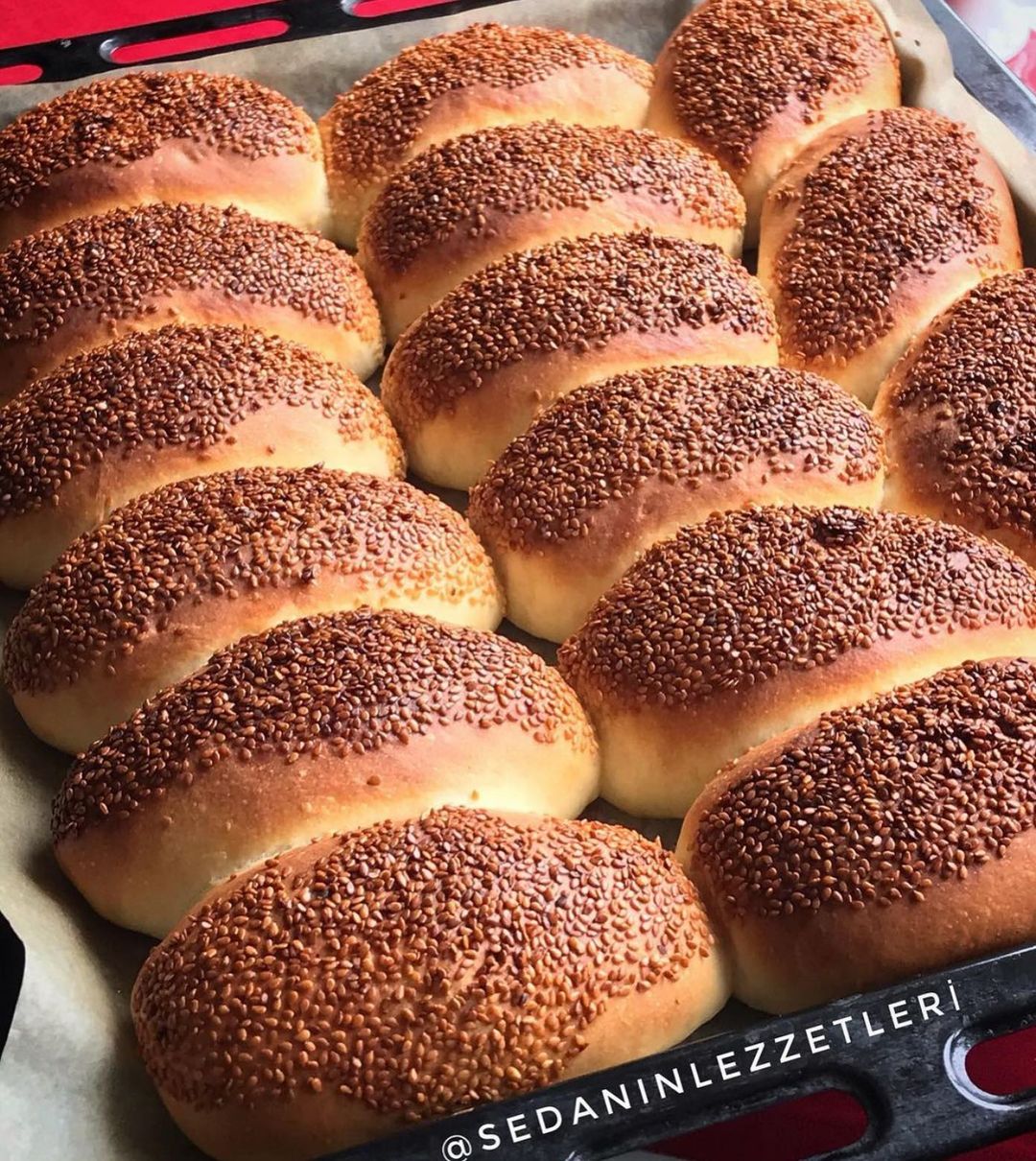 Saray Simidi