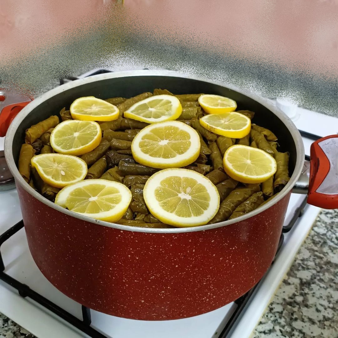Zeytinyağlı Taze Yaprak Sarması