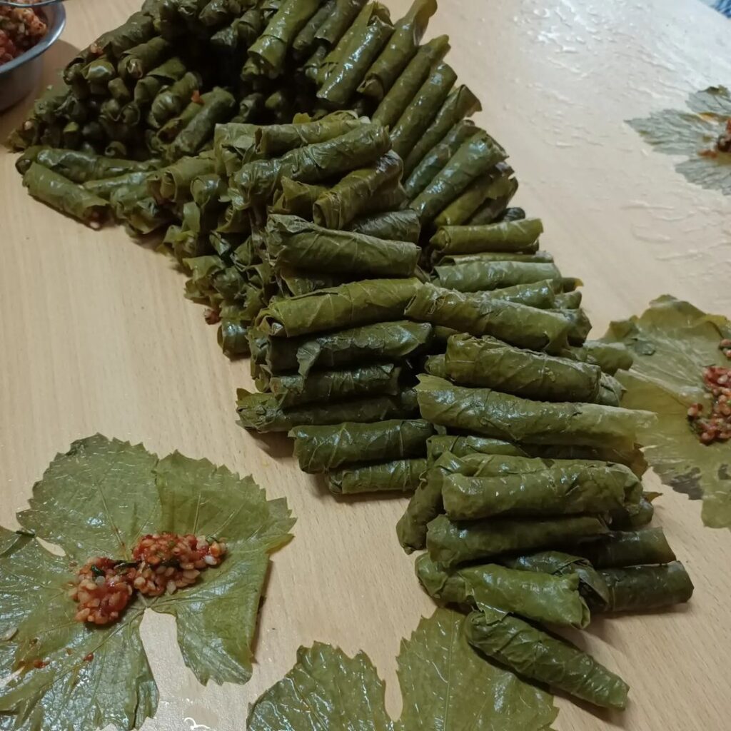Zeytinyağlı Taze Yaprak Sarması