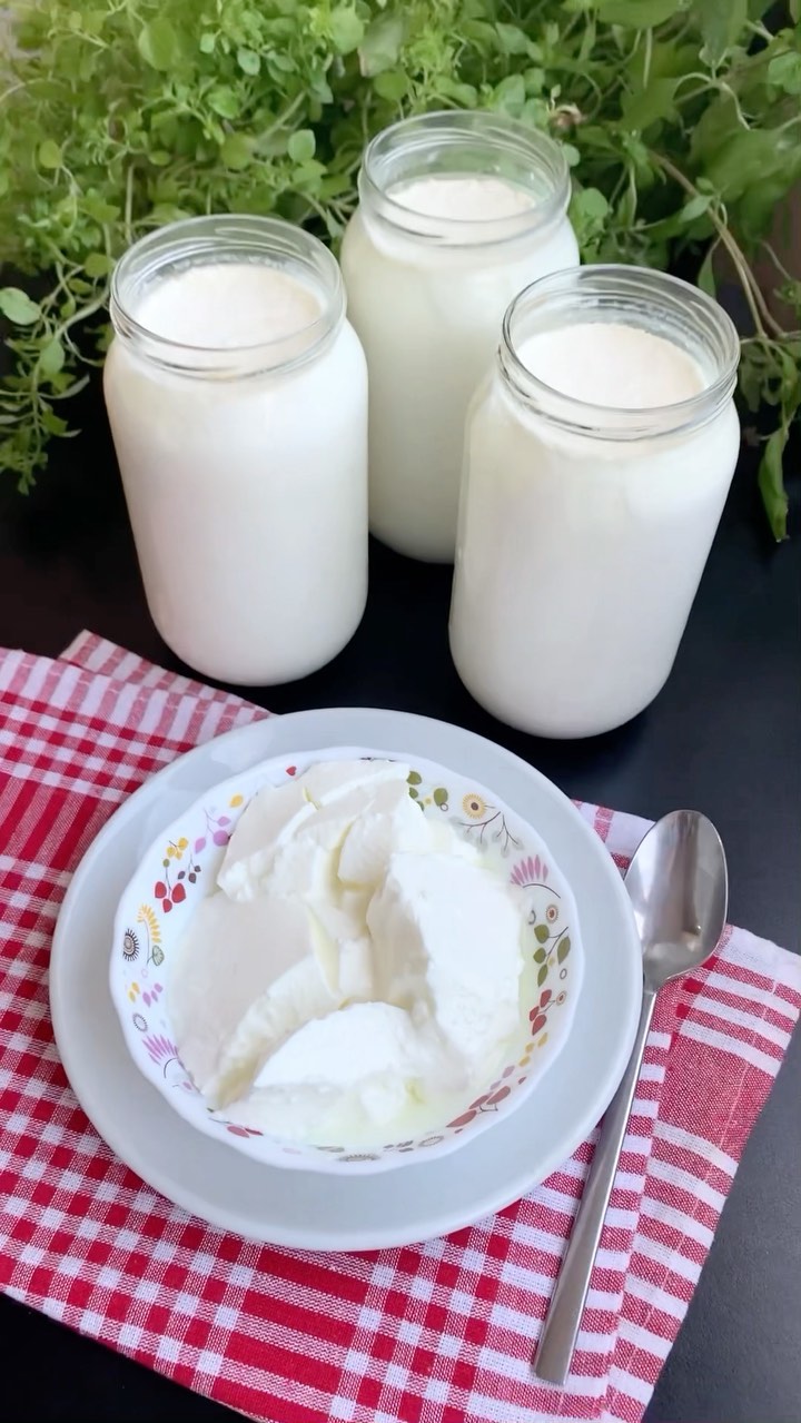 Evde Sert Yoğurt Yapmanın Puf Noktaları
