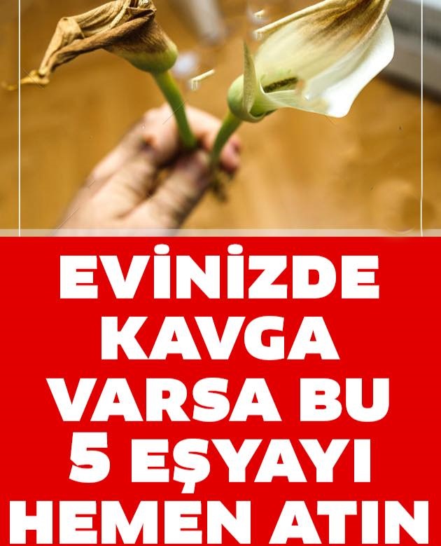 Evinizde Kavga Ve Gürültü Varsa Bu 5 Eşyayı Hemen Atın