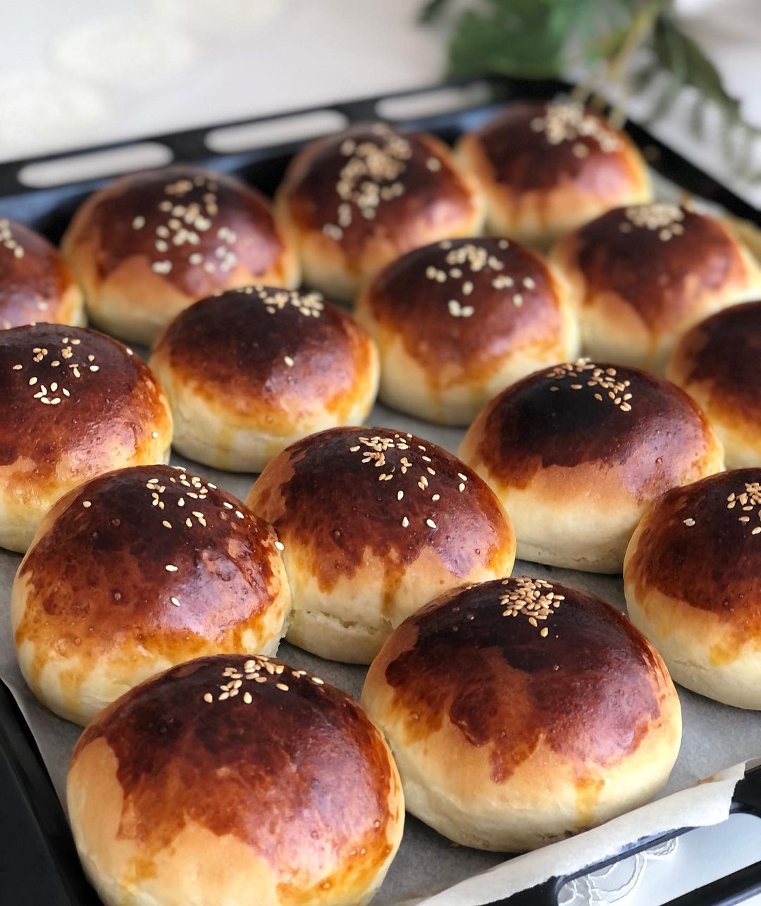 Pamuk Poğaça