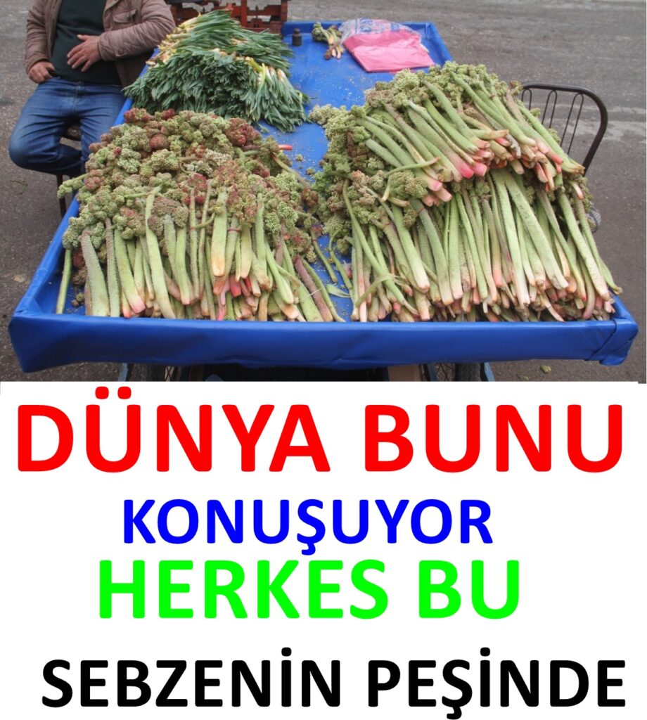 Dünya Bunu Konuşuyor.Herkes Bu Sebzenin Peşinde.