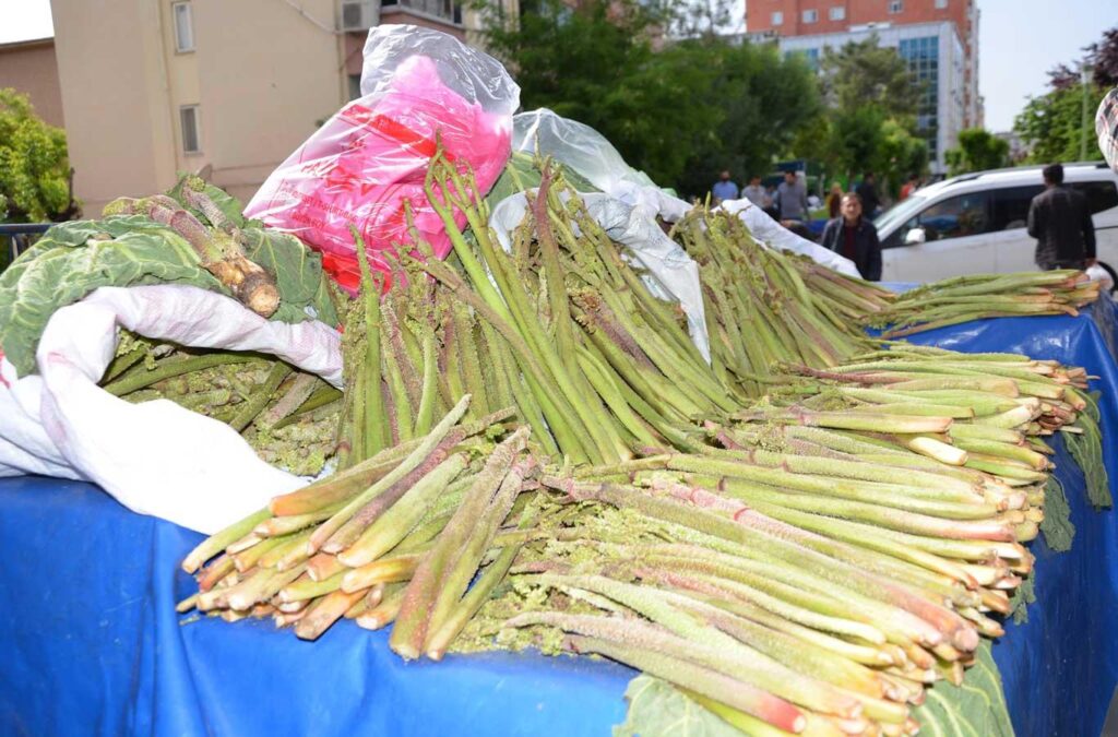 Dünya Bunu Konuşuyor.Herkes Bu Sebzenin Peşinde.