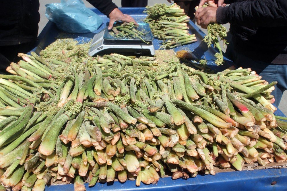 Dünya Bunu Konuşuyor.Herkes Bu Sebzenin Peşinde.