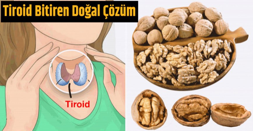 TİROİD için CEVİZ ile ilaçsız bitkisel tedavi yöntemi