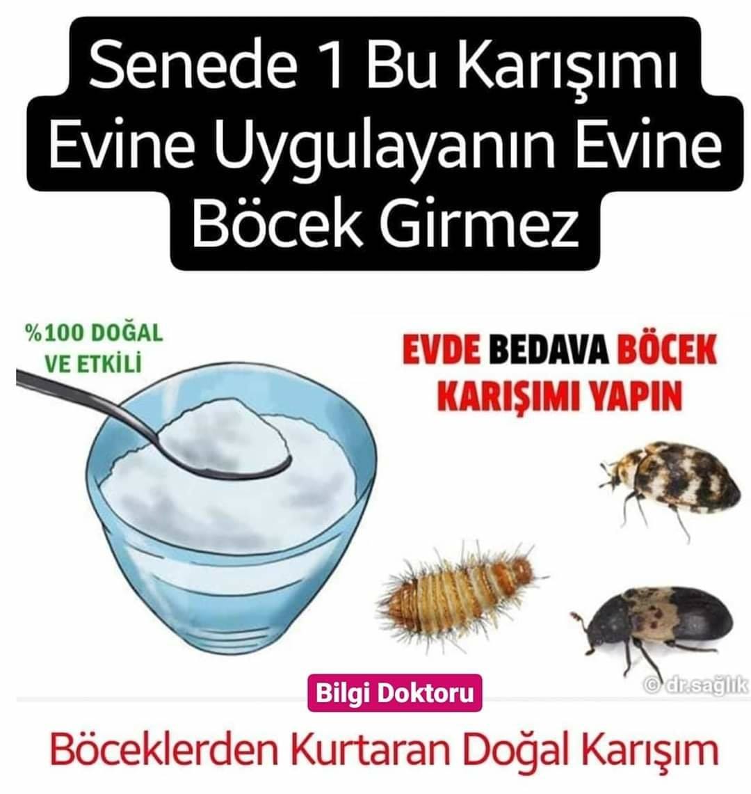 Böceklerden Kurtaran Doğal Karışım