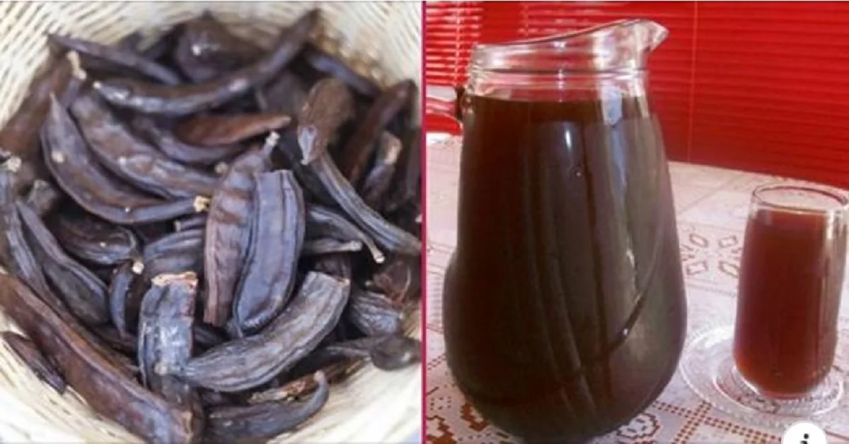 Öksürükten Kemik Erimesine ve Bir Çok Soruna Çare